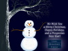 Custom Corporate Christmas / New Year / Holiday Greeting Cards / eCards - Union Development Company 2010